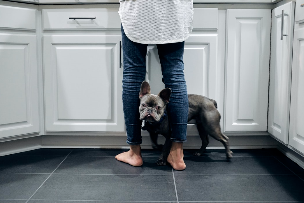 A dog and owner stood on a tiled floor